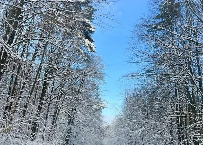 Na Kaszubach U Madzi Semesterbostad *